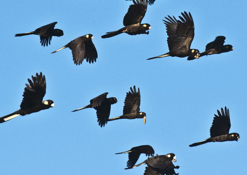 Admirals Inn - Tourism Noosa 42