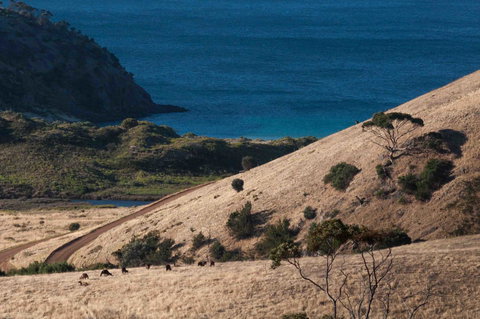 Admirals Inn - Tourism Noosa 44