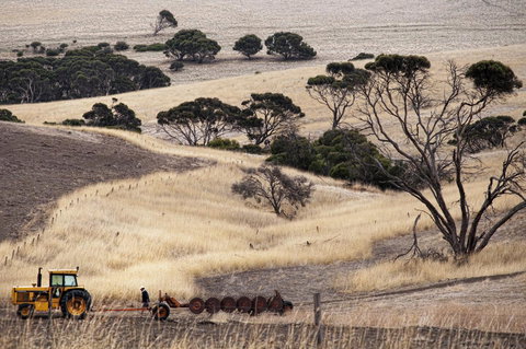 Admirals Inn - Tourism Noosa 43