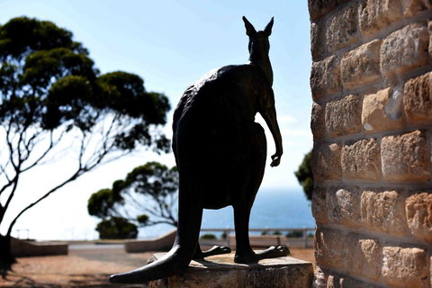 Admirals Inn - Tourism Noosa 12