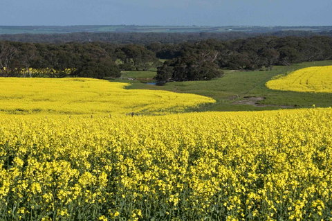 Admirals Inn - Tourism Noosa 41