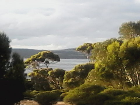 Mallee Bark Retreat - Tourism Noosa 11