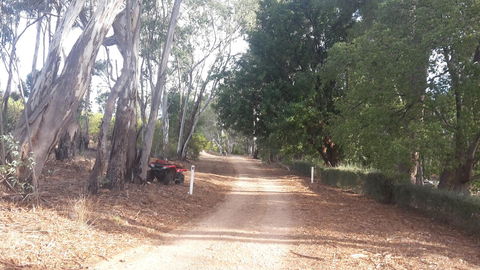 Taralee Orchards - Tourism Noosa 4