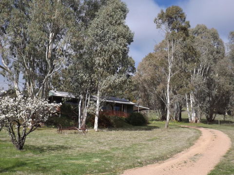 Taralee Orchards - Tourism Noosa 9