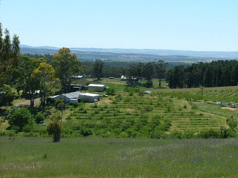 Taralee Orchards - Tourism Noosa 0
