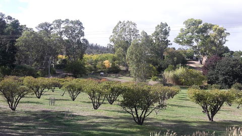 Taralee Orchards - Tourism Noosa 1