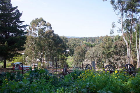 Longwood Retreat - Tourism Noosa 37