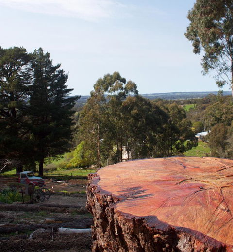 Longwood Retreat - Tourism Noosa 38