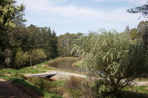 Longwood Retreat - Tourism Noosa 33