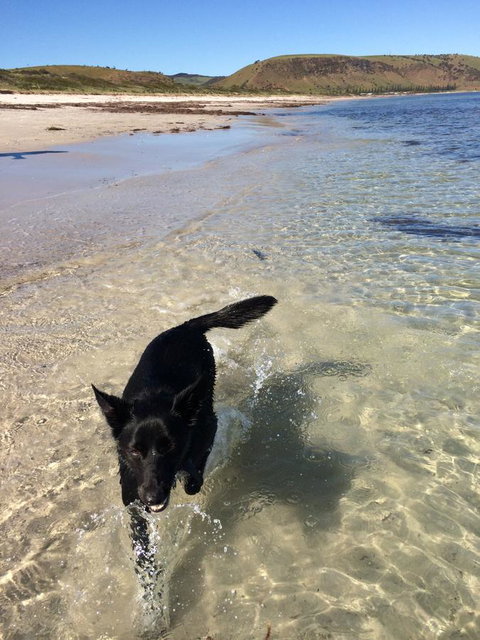 Beachside Holiday Park - Tourism Noosa 17