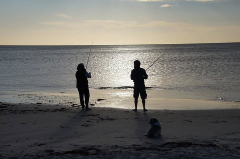 Beachside Holiday Park - Tourism Noosa 18