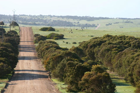 Almonta Park Lodge - Tourism Noosa 1