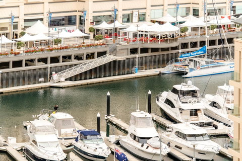 Beachside Luxury & Comfort, Ocean Views In Glenelg - Tourism Noosa 6