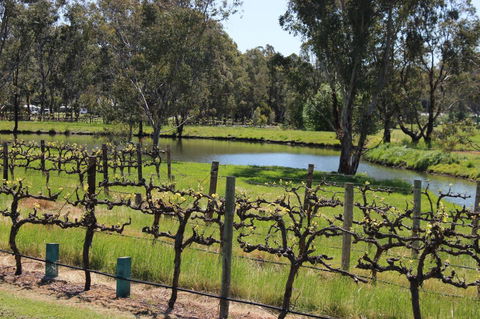 OXENBERRY FARM - Tourism Noosa 19