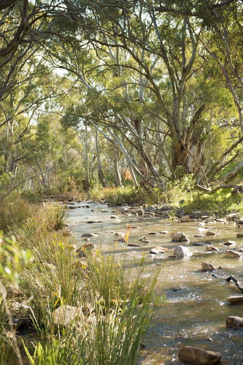 Breakfree Port Pirie - Tourism Noosa 44