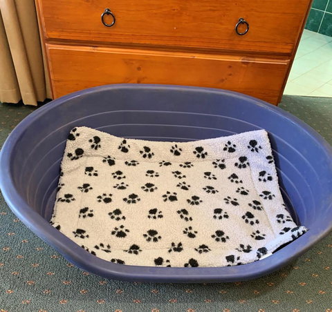 Breakfree Port Pirie - Tourism Noosa 3