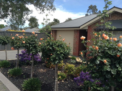 C And C Tanunda - Tourism Noosa 1
