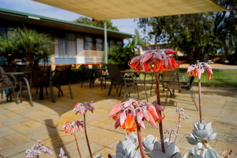 Kangaroo Island Seaview Motel - Tourism Noosa 3