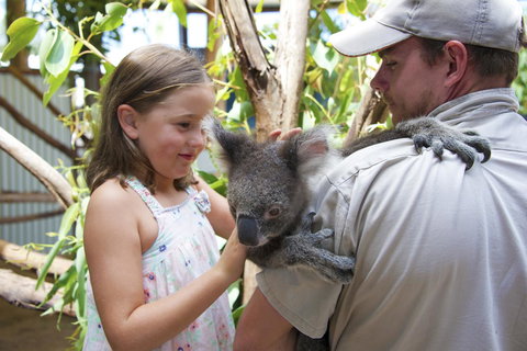 One Mile Retreat - Tourism Noosa 16