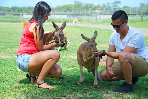 One Mile Retreat - Tourism Noosa 25