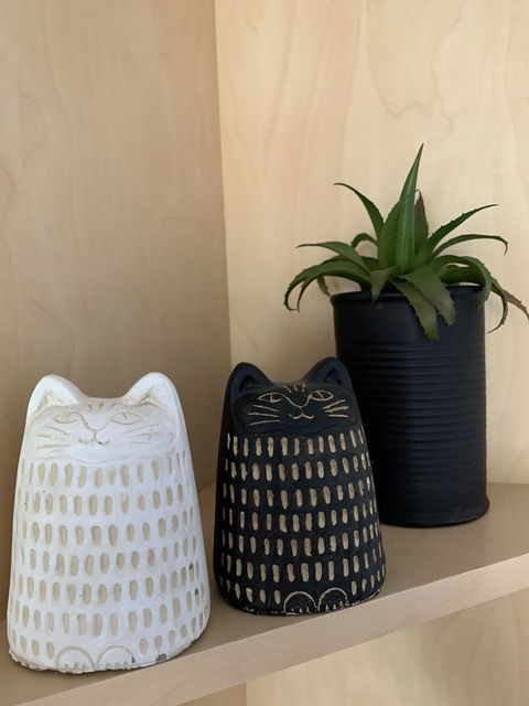 Sunshine Four - Tourism Noosa 20