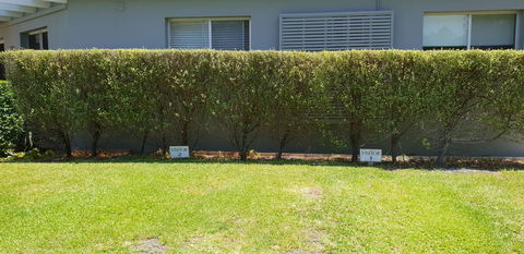 2 Austinmer Studio - Tourism Noosa 12