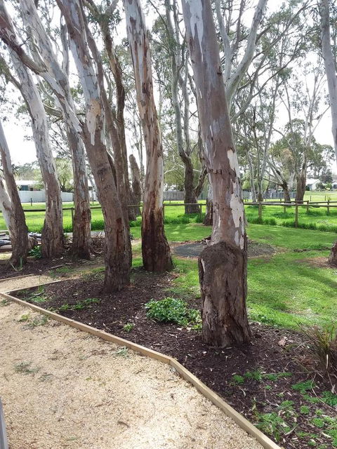Cloisters Of Kalangadoo - Tourism Noosa 6