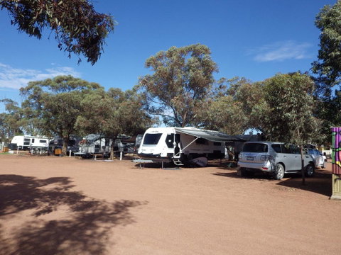 Wudinna Gawler Ranges Motel And Caravan Park - Tourism Noosa 17