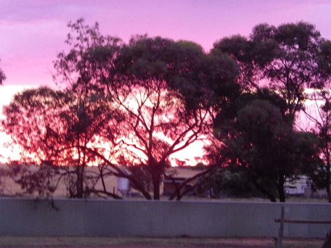 Wudinna Gawler Ranges Motel And Caravan Park - Tourism Noosa 11
