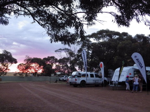 Wudinna Gawler Ranges Motel And Caravan Park - Tourism Noosa 15