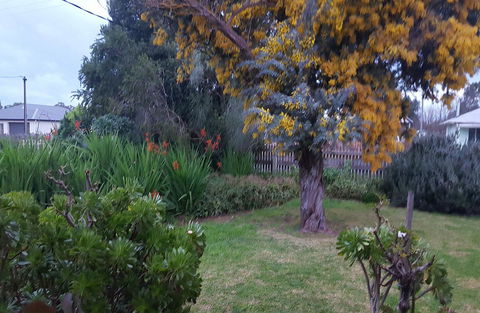 Ruby\'s Cottage - Tourism Noosa 19