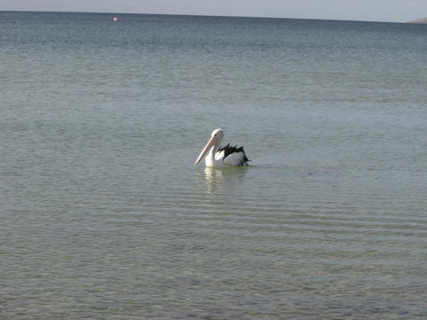 Lantauanan - The Lookout - Tourism Noosa 2