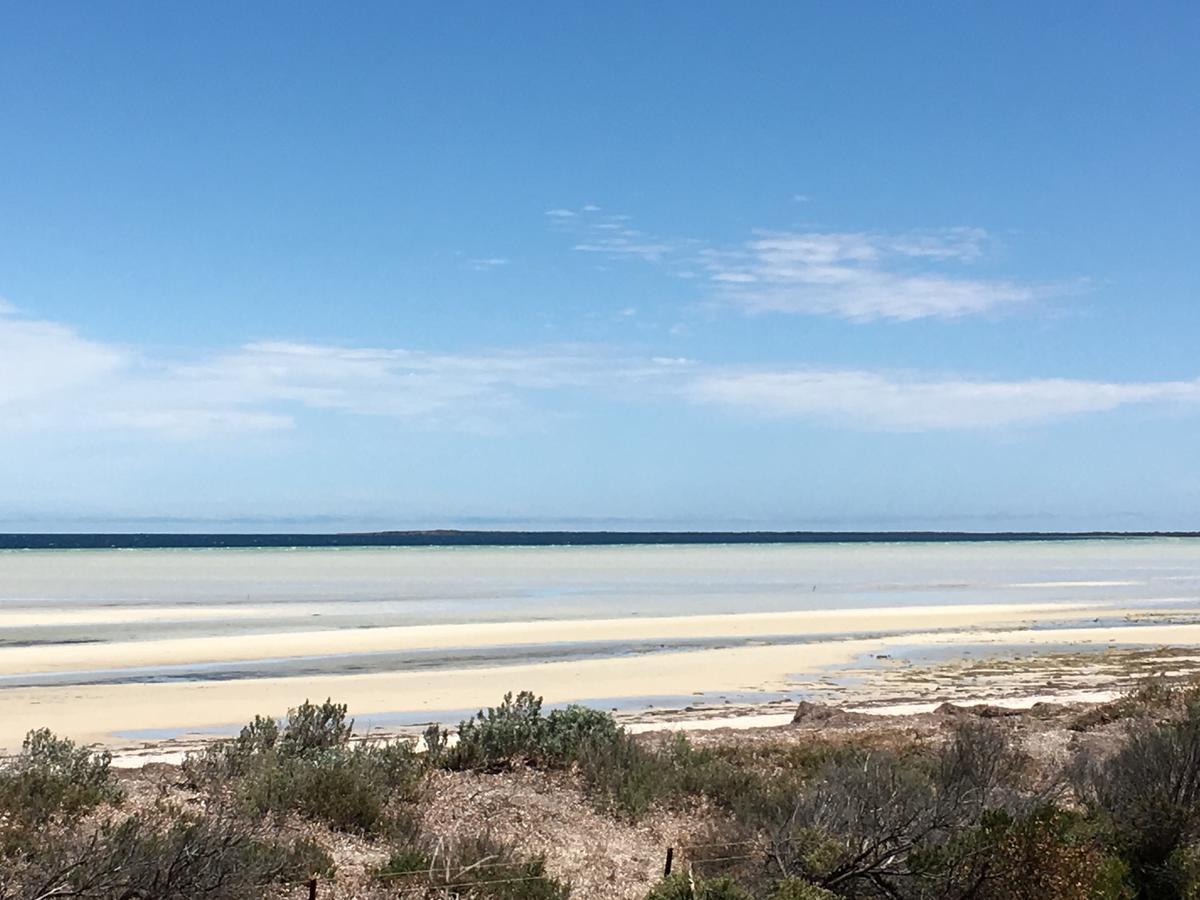 Warburto SA Tourism Noosa