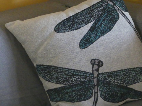KI Dragonfly Guesthouse - Tourism Noosa 43