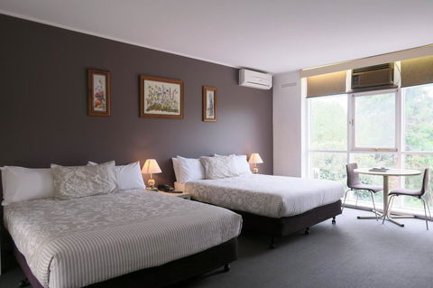 The Lyndoch Motel - Tourism Noosa 13