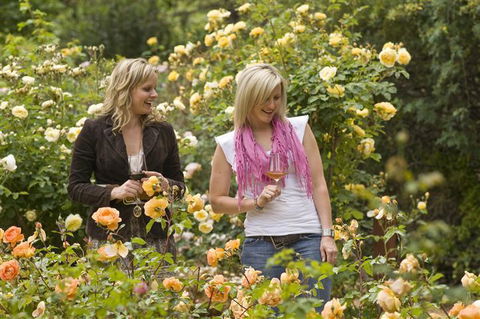 The Lyndoch Motel - Tourism Noosa 7