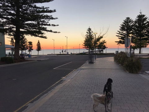 BIG4 Ceduna Tourist Park - Tourism Noosa 34