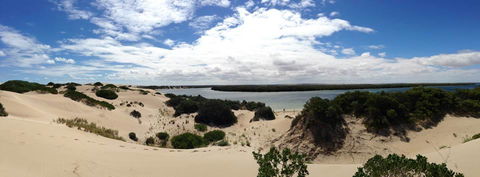 BIG4 Ceduna Tourist Park - Tourism Noosa 40