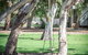 South Shores Trevally Villa 92 - South Shores Normanville - thumb 6