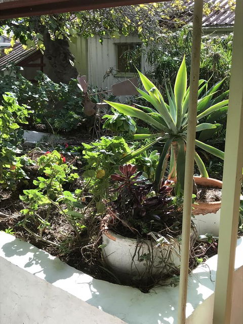 Cosy Nook - Tourism Noosa 19