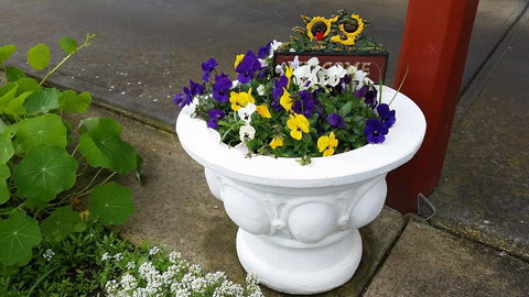 Addies Place Goolwa - Tourism Noosa 10