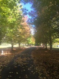 Book Bonville Accommodation Vacations Tourism Noosa Tourism Noosa