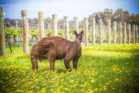 The Roozen Residence - Tourism Noosa 29