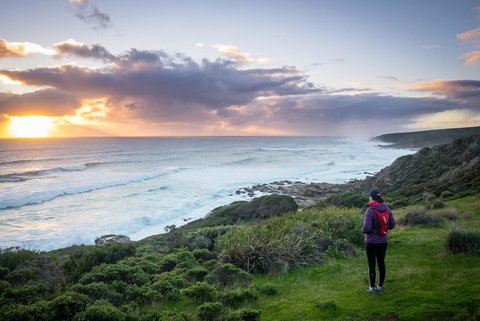 The Roozen Residence - Tourism Noosa 32