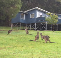 Blue House Denmark - Tourism Noosa