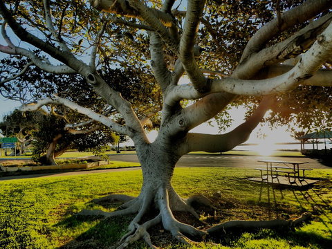 Lazy Lobster Holiday Units & Chalets - Tourism Noosa 34