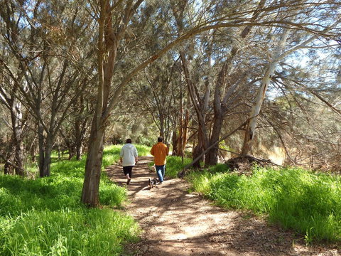 Lazy Lobster Holiday Units & Chalets - Tourism Noosa 26