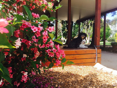 Armidale Tourist Park - Tourism Noosa 34