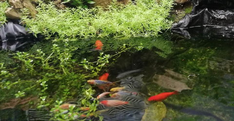 Perth Lake Side Lodge - Tourism Noosa 17