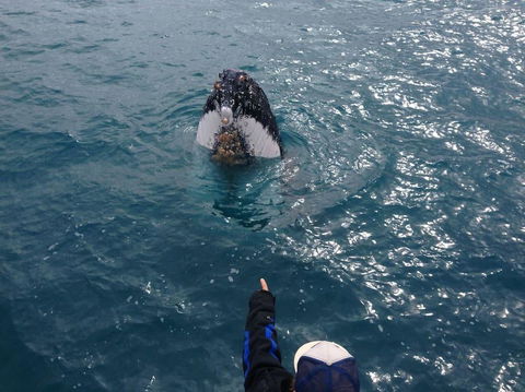 Number 72 Kalbarri Riverview Apartments - Tourism Noosa 11